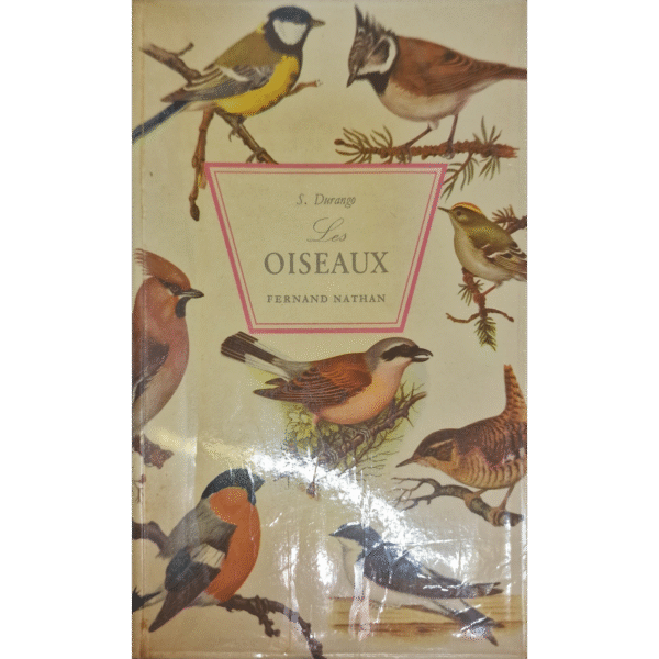 product-img-0-1190-1.png Image 1