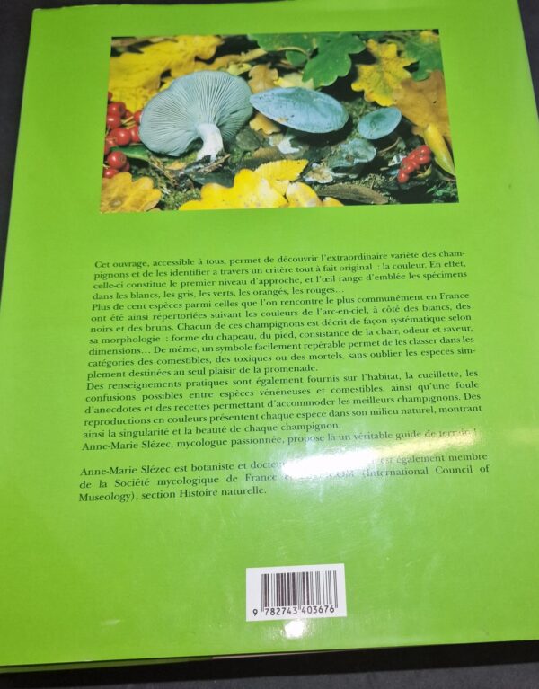 product-img-1-74-scaled-1.jpg Image 2