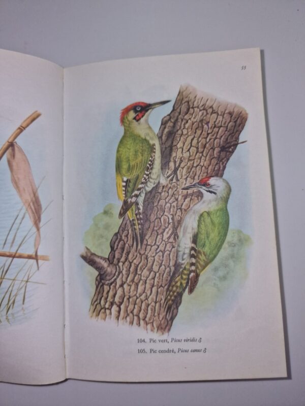 product-img-2-1344-rotated-1.jpg Image 3