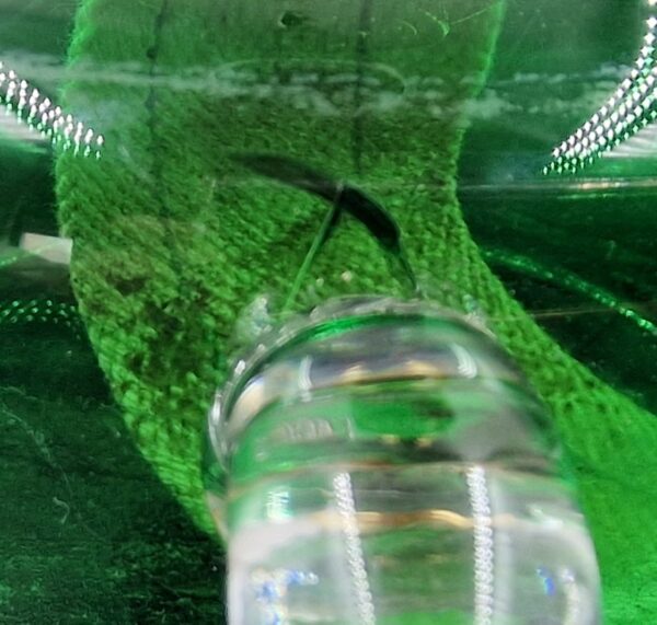 product-img-2-1385-1.jpg Image 3