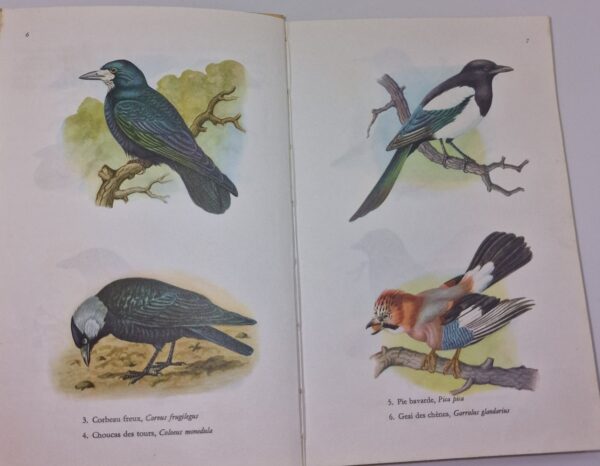 product-img-3-1264-1.jpg Image 4