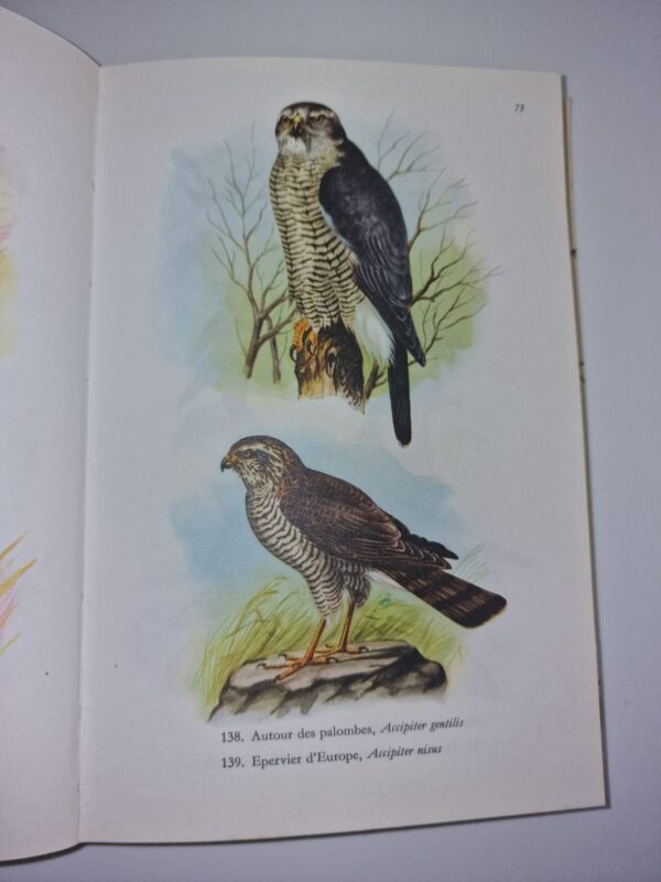 product-img-4-1039-rotated-1.jpg Image 5