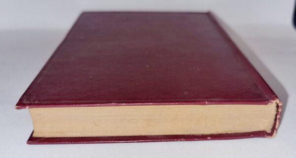 product-img-4-1099-scaled-1.jpg Image 5