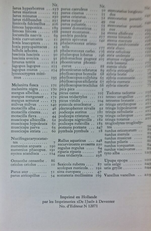 product-img-5-763-1.jpg Image 6