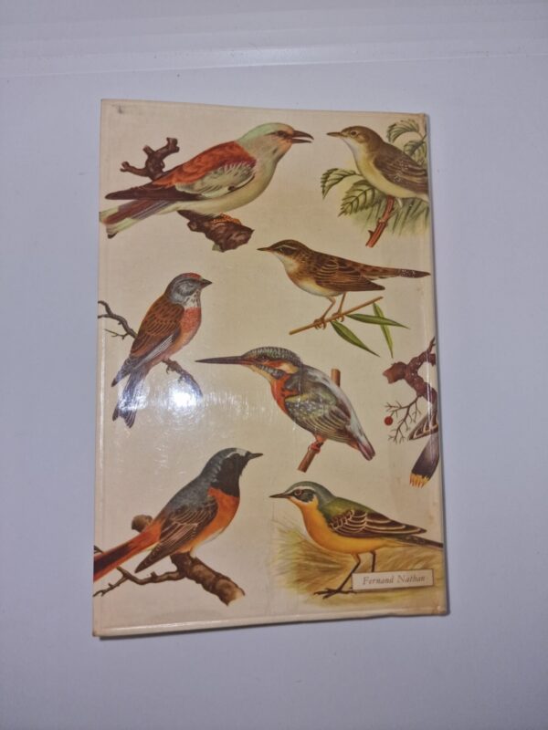 product-img-7-210-rotated-1.jpg Image 8