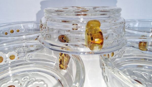 product-img-1-79-1.jpg Image 2