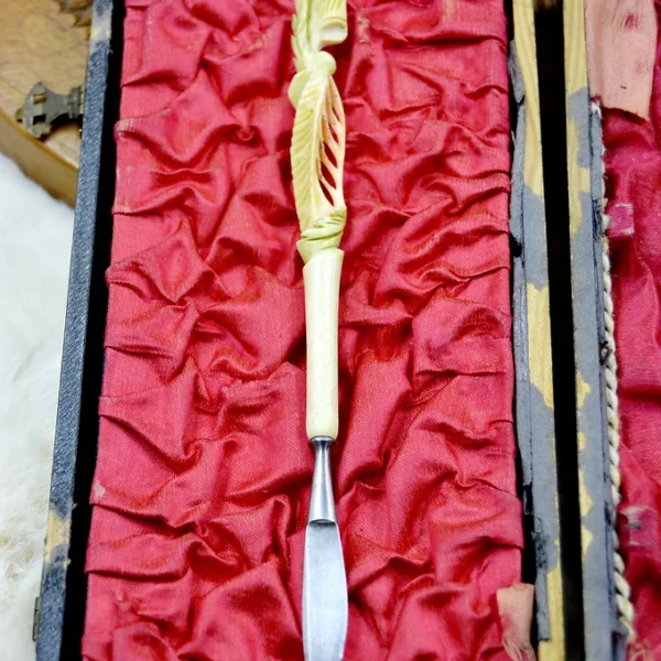 Set d'écriture / Accessoire de bureau en matière naturelle / os ou assimilé