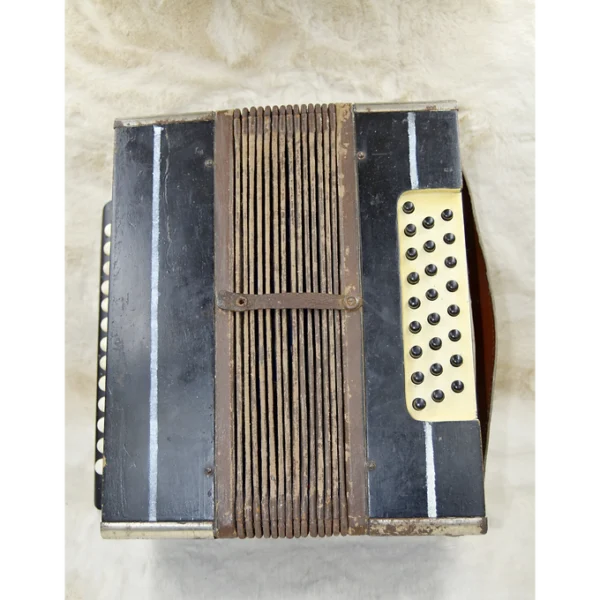 85b9c5_3f2a4c49f41849d6a8bb6c80558cdf55~mv2 Accordéon Russe De 1950 Environ De La Période Communiste
