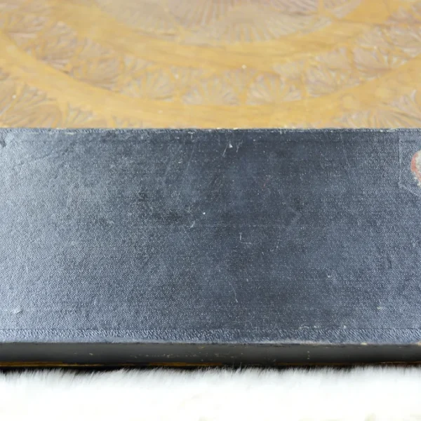 Set d'écriture / Accessoire de bureau en matière naturelle / os ou assimilé