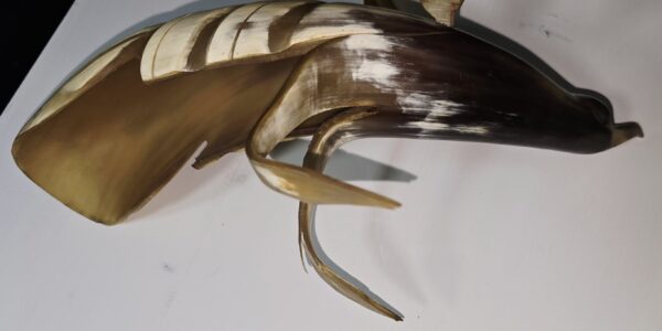 Oiseau corne de buffle + de 36cm étiquette d'origine Exposition paris 1937